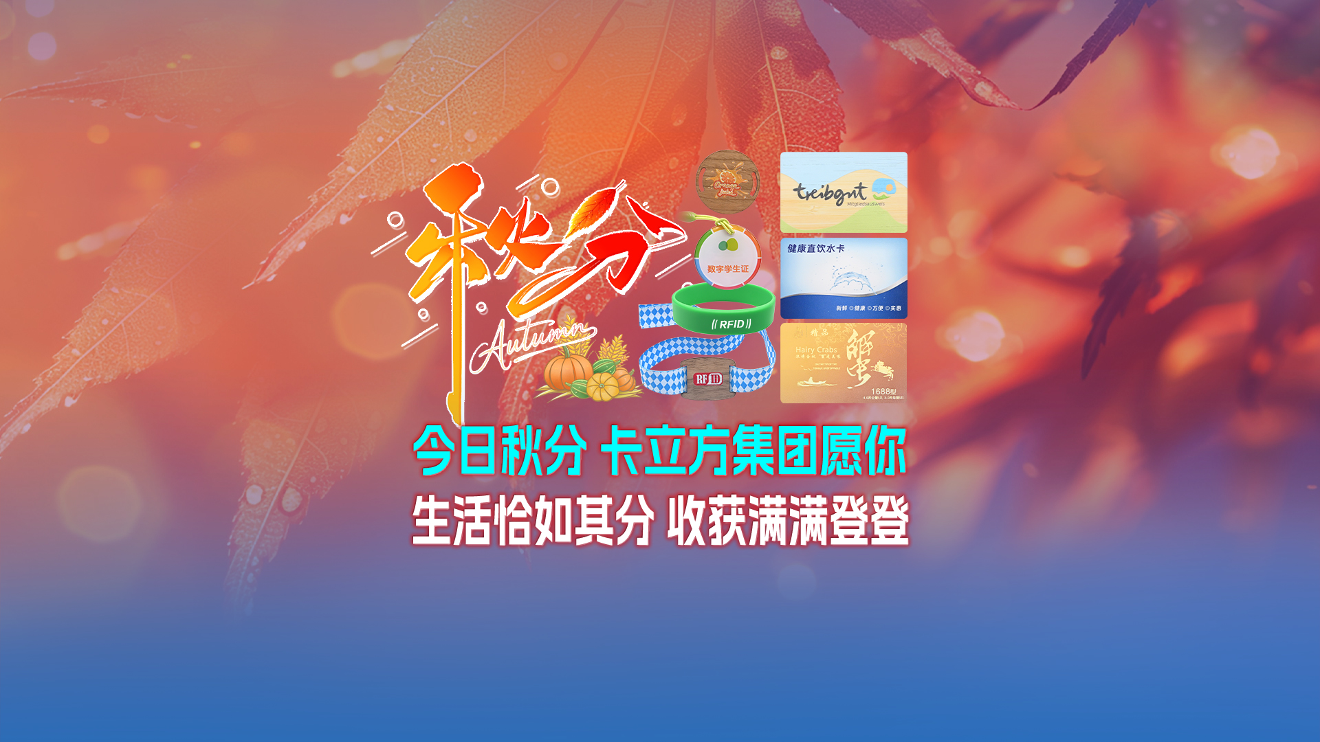 秋分至，卡立方集團智能卡工廠以RFID多元化物聯網產品科技賦能萬物互聯