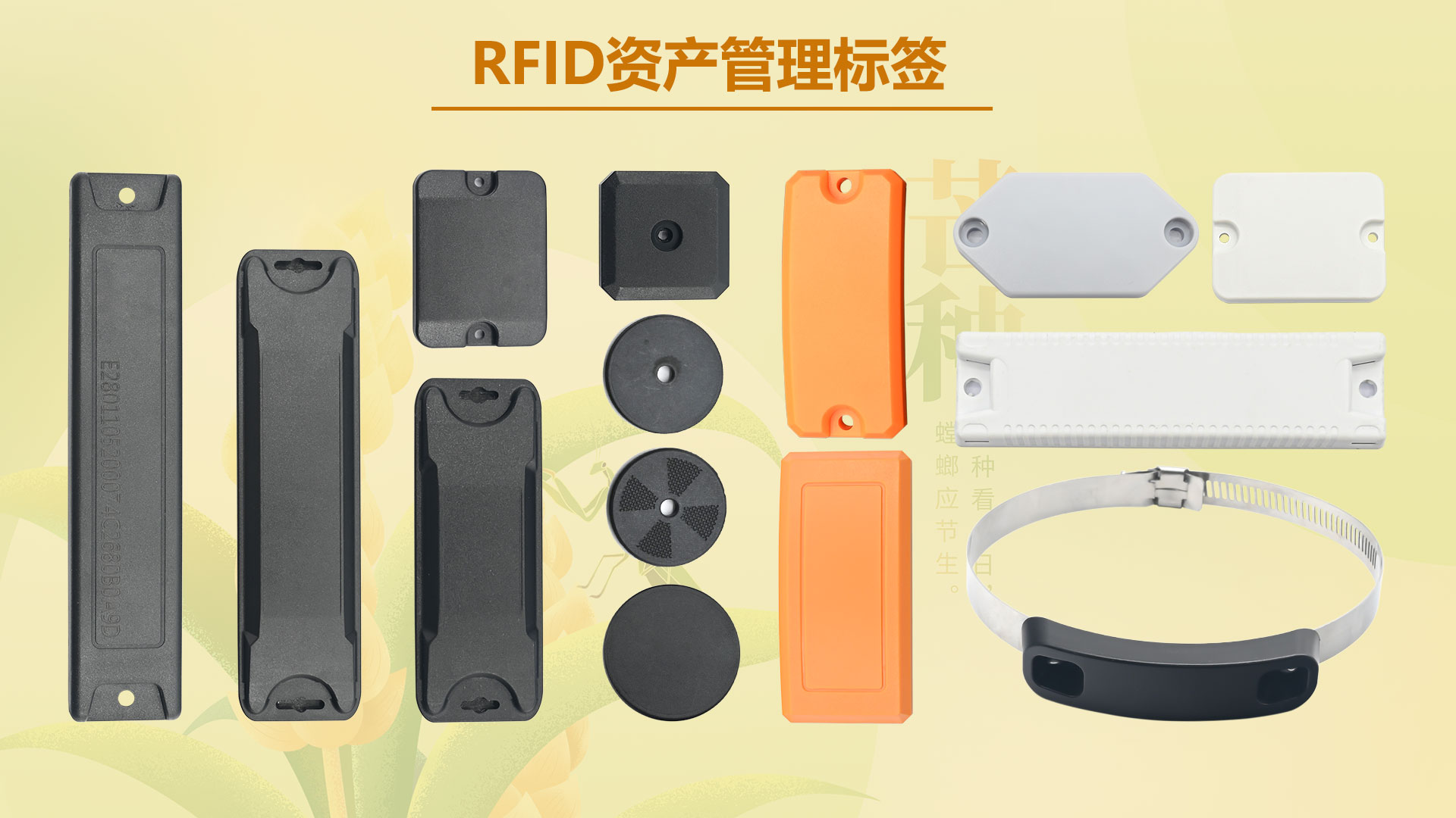 微信圖片_20260602153929_5425_127 微信圖片_20260602153929_5425_127