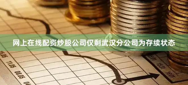 网上在线配资炒股公司仅剩武汉分公司为存续状态